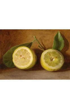 Women Lazybones Art Print Set - The Naturalist