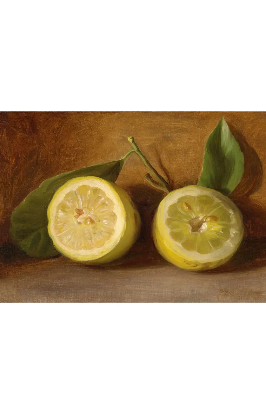 Women Lazybones Art Print Set - The Naturalist