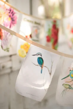 Women Lazybones Australian Birds Garland *Organic Cotton