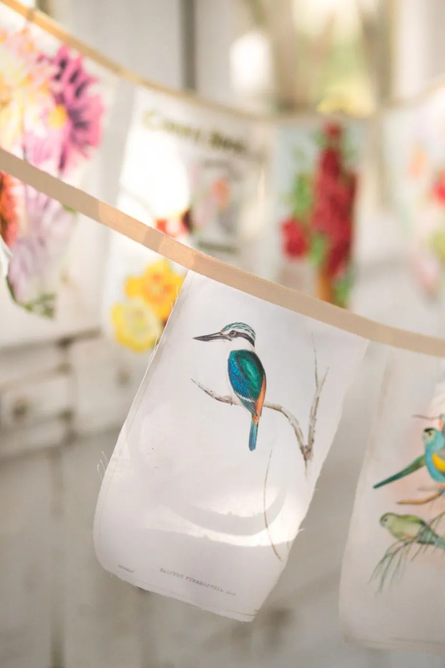 Women Lazybones Australian Birds Garland *Organic Cotton