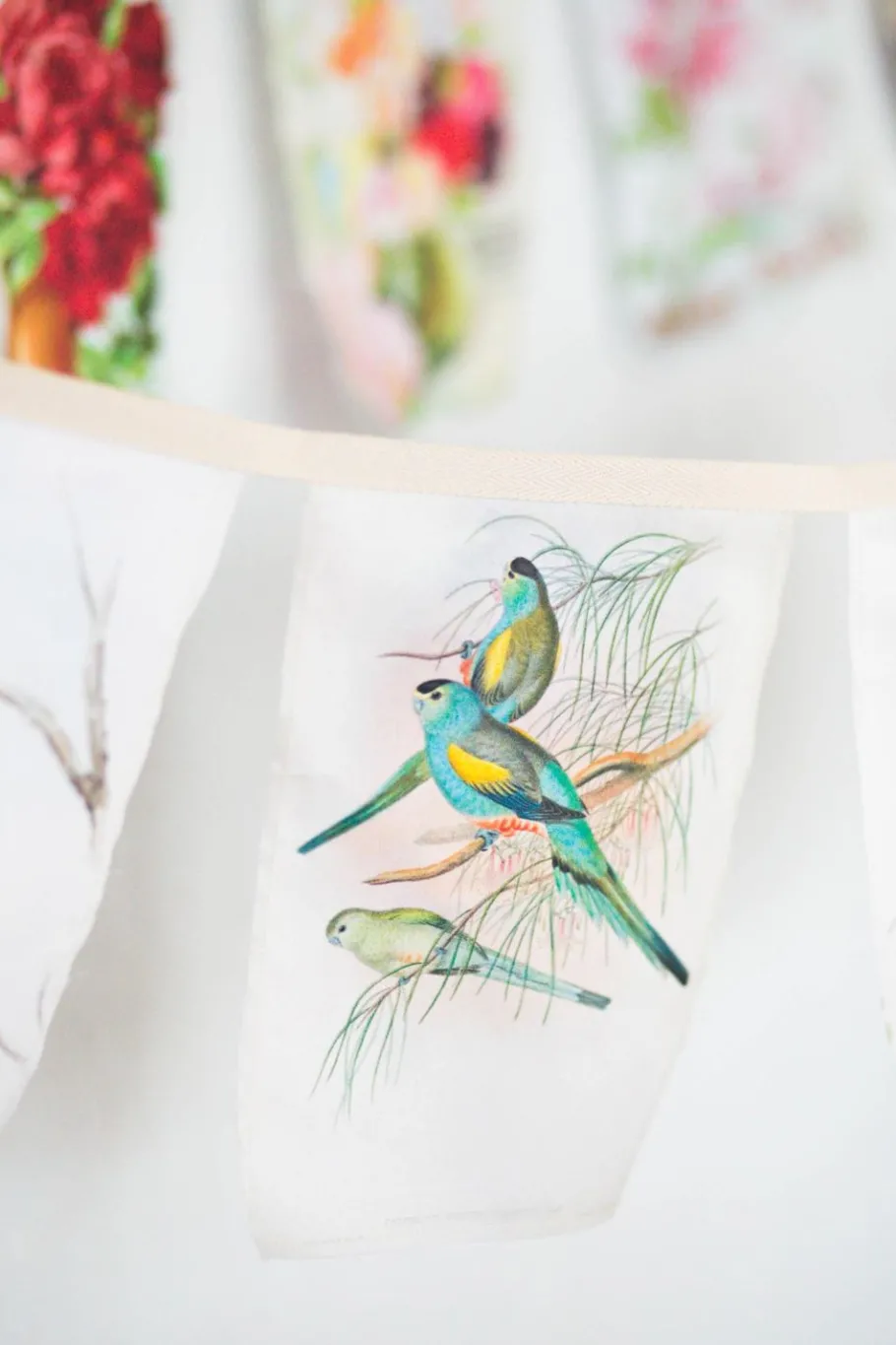 Women Lazybones Australian Birds Garland *Organic Cotton