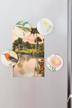 Women Lazybones Honey Eater Magnet