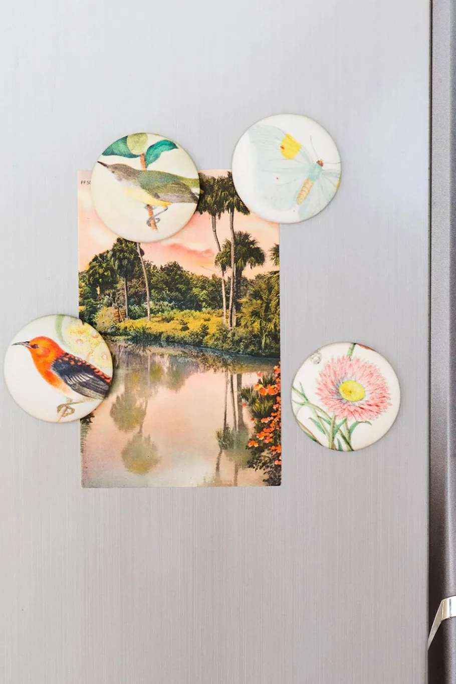 Women Lazybones Honey Eater Magnet