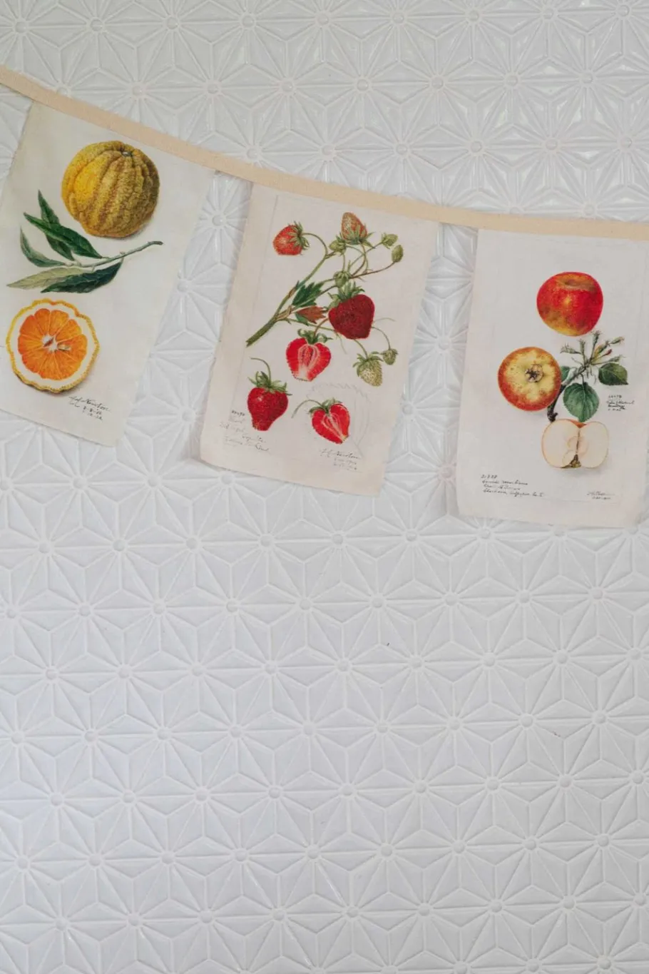 Women Lazybones Vintage Fruit Garland