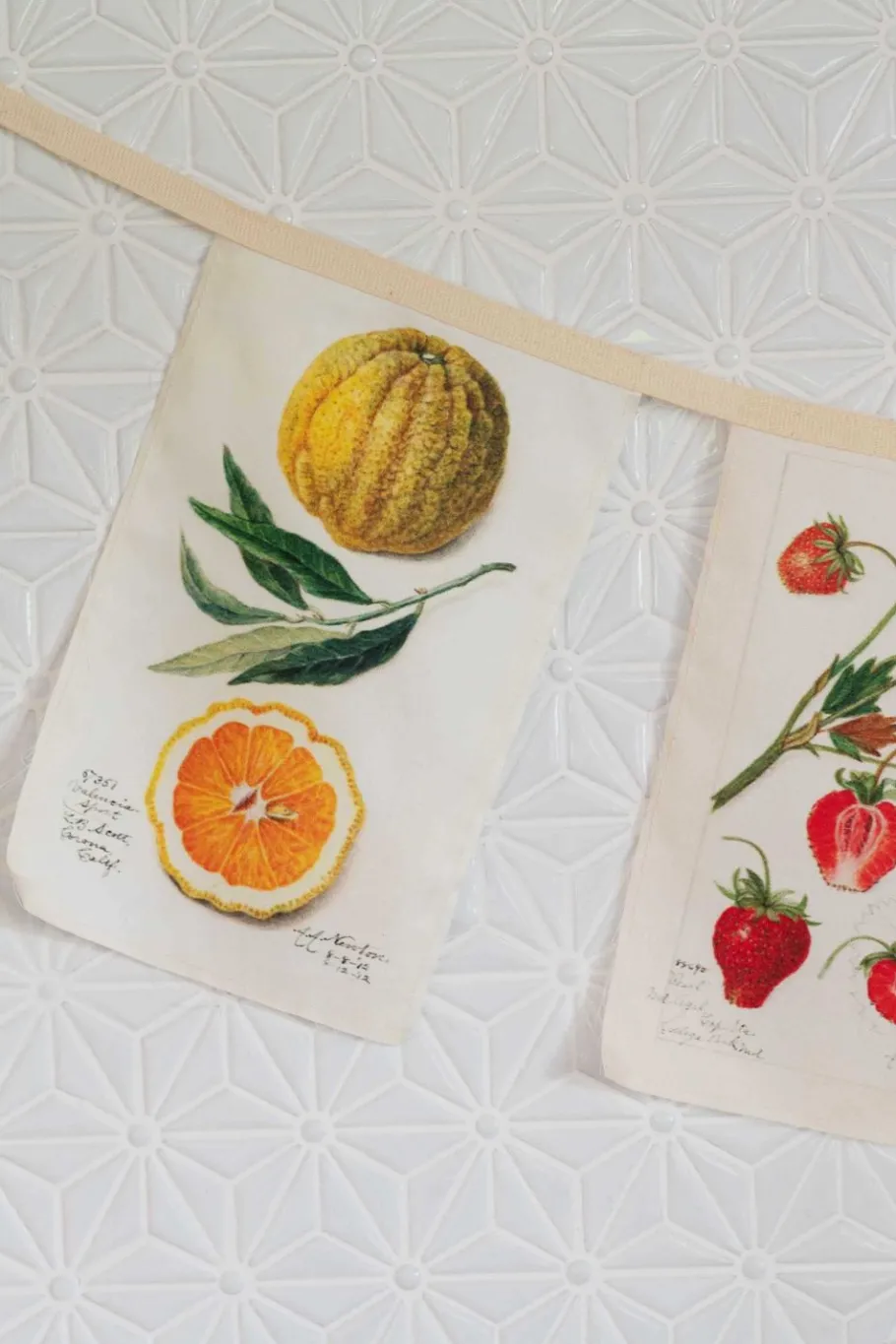 Women Lazybones Vintage Fruit Garland